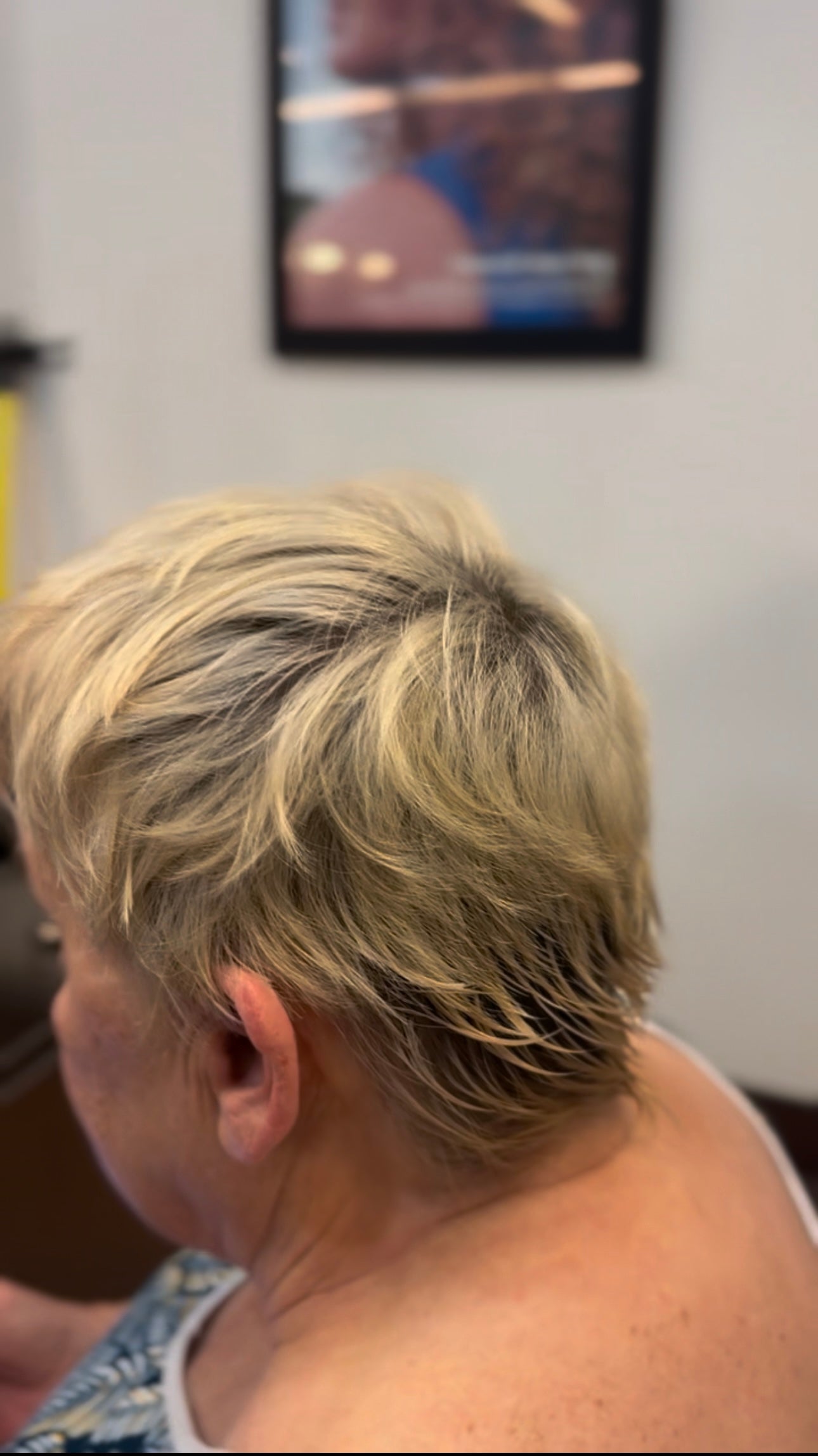 Clipper Cut