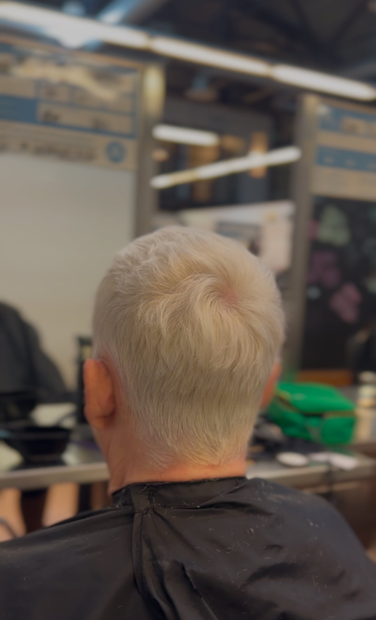 Clipper Cut